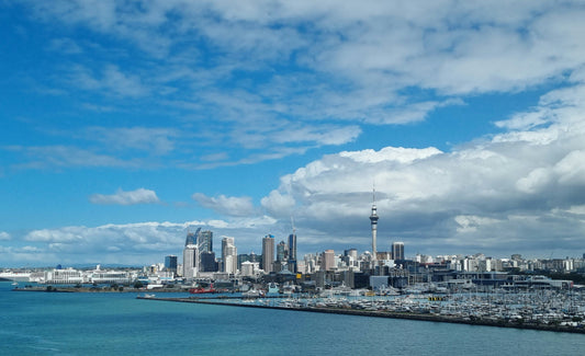 Are You Ready for New Zealand's Epic Adventures?