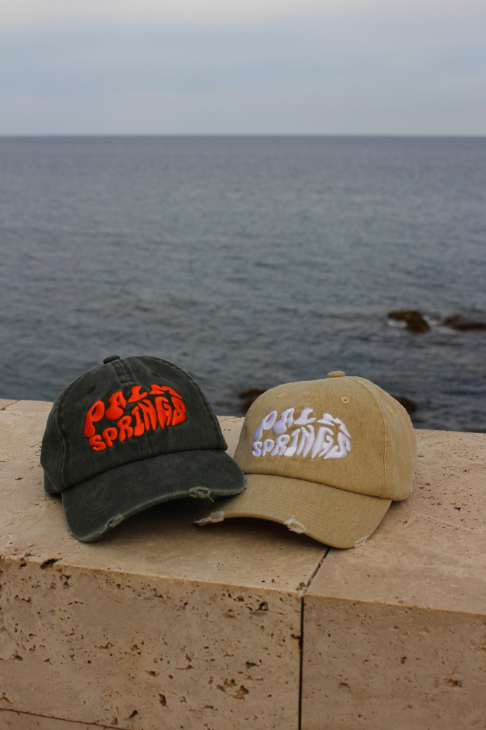 Brown Palm Springs Cap