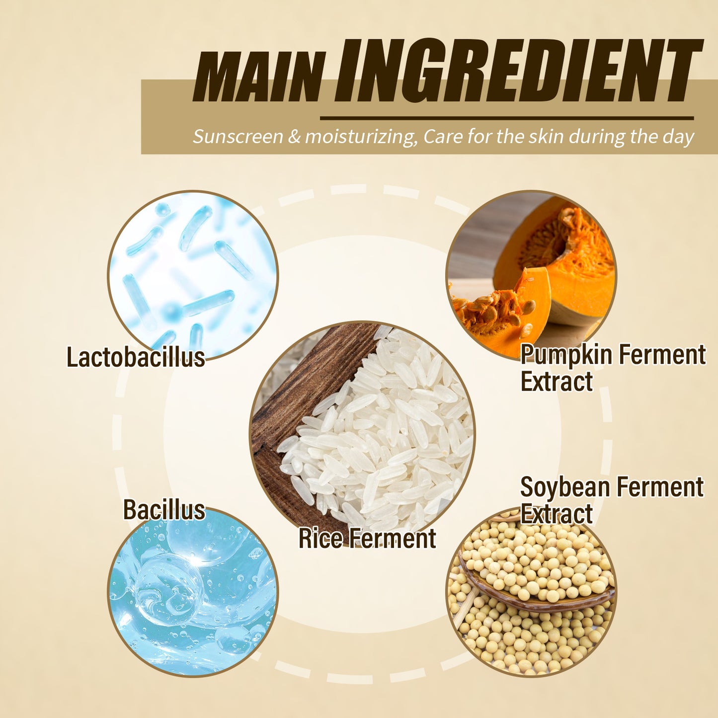 Moisturizing Rice Probiotics SPF50+ Sunscreen