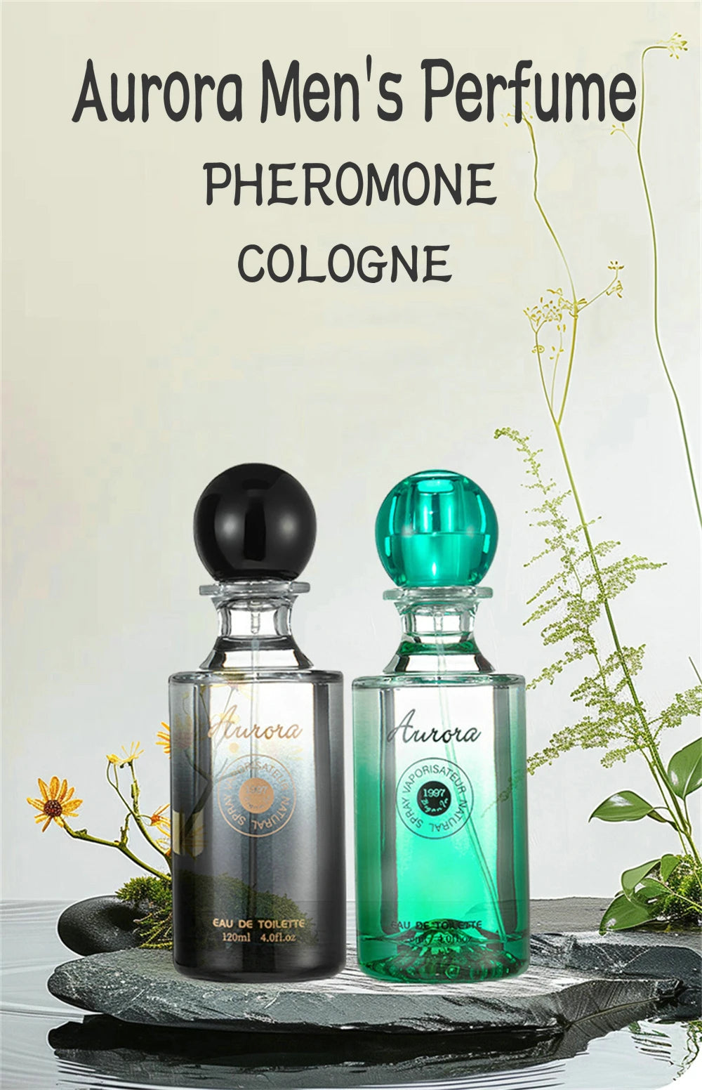 Aurora Woody Scent, Aroma Leñoso Aurora