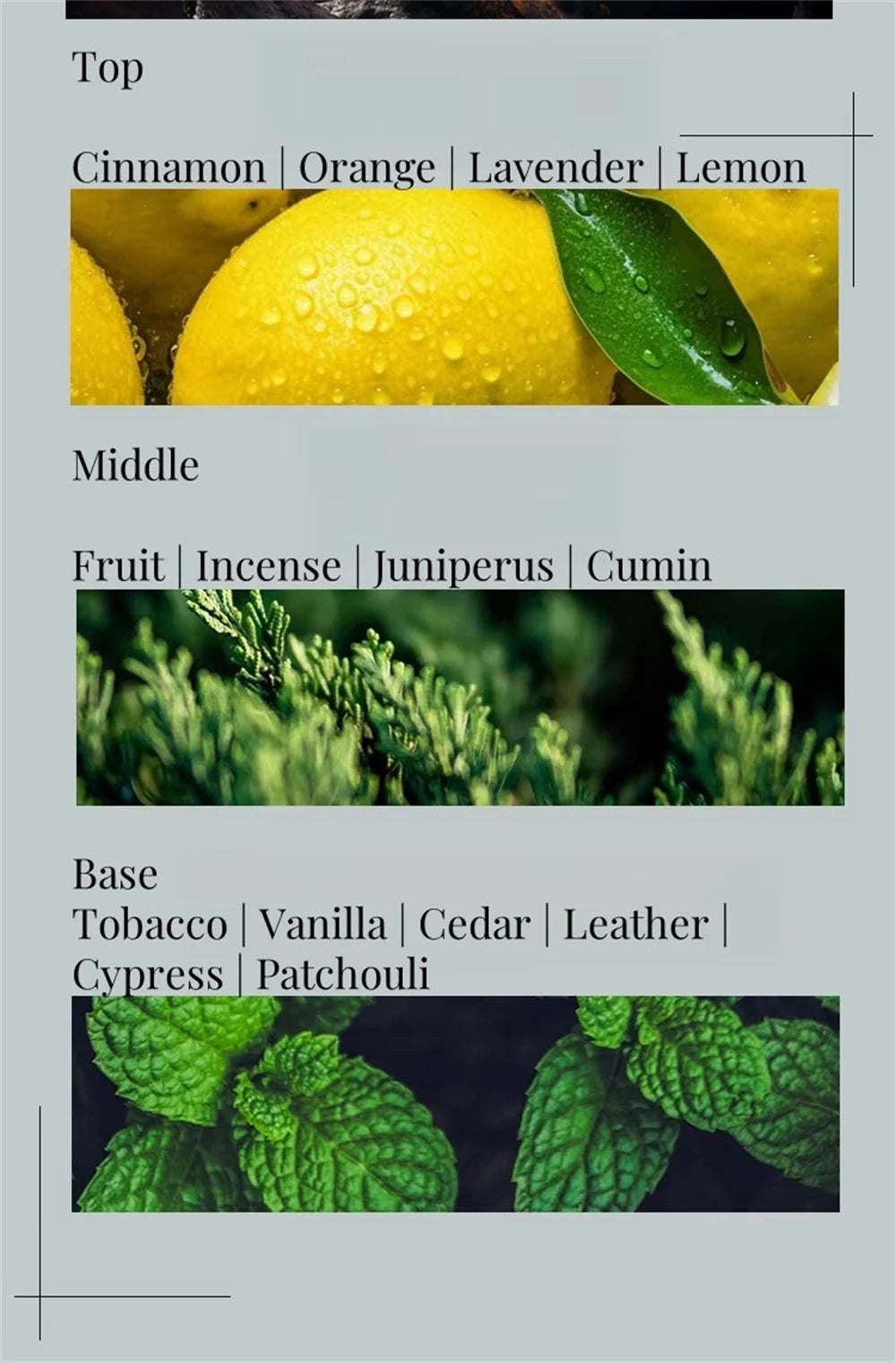 Aurora Woody Scent, Aroma Leñoso Aurora